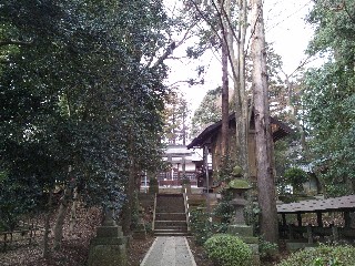 ���Ԏs�F�o�_�j�_��