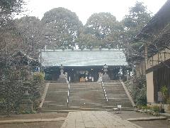 ����_����