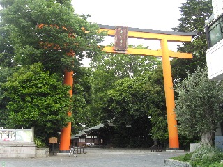 ��z�X��_��