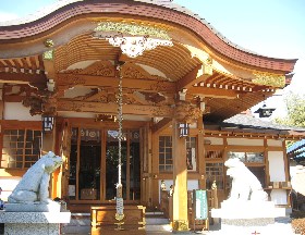 ���{�_��