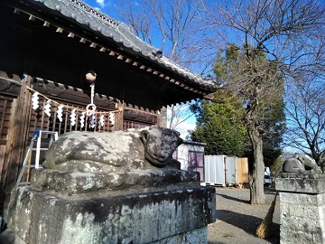 �����_��