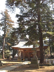 ��{�Z�g�_��