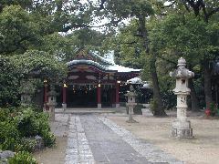 �z�J�s�v�ɓ��_��