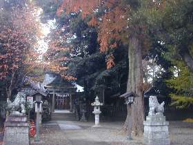 �v�ɓ��_��