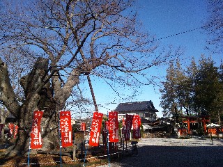 �������{�_��