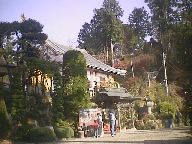 �q�̌����V����