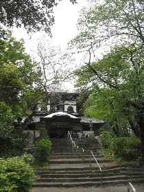 �{���s�F�S�̊ω���(��������)