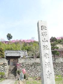 ���⎛�i�����\�O�����@�ω���F)