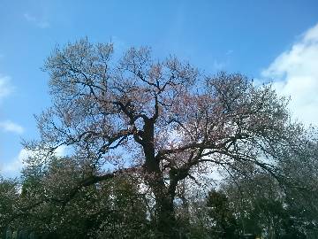 �k�{�s����ɓ��̃G�h�q�K���U�N��