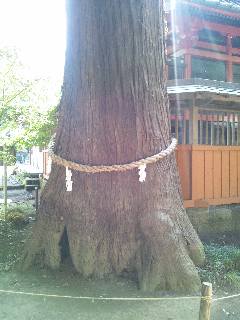 �ɓޒ��@�X��_�Ђ̃X�M