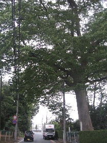 �������܎s �{���̑�P���L