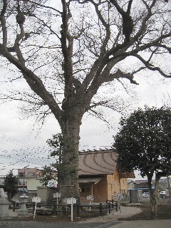 �є\�̑�P���L