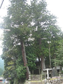 ���R�F��_�Ђ̐�