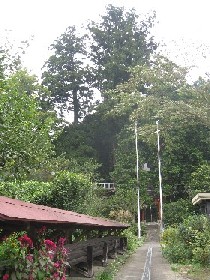 ���������F�V�_�Ђ̑吙