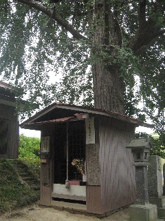 �K��s �q��n���̋�ǒn��