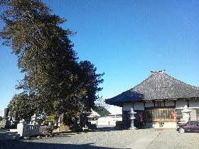 �{���s���ʒ��@�������̔򗴔V��