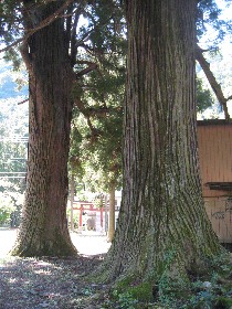 �����쒬 �Ñ�_�Ђ̐�