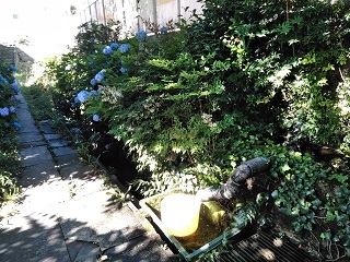 �x�m���s�@���}�̐�