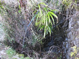 �Γn�ˋ��̗N��(�z����) 