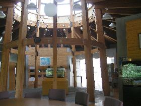 �G�R�~���[�W�A���Z���^�[