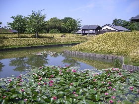 ��g�c�鎑����