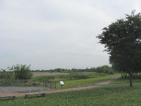 自然 公園 沼 びん