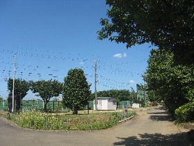 ふじみ野市運動公園