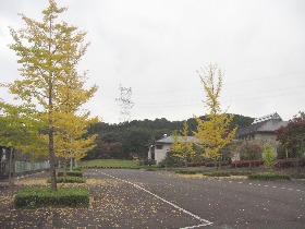 �јC�R��������