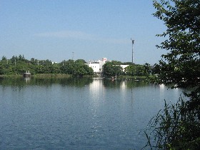 ���v����