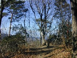 �P���R�R��