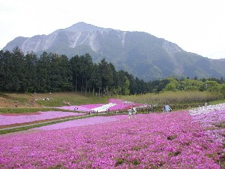 羊山公園からの武甲山