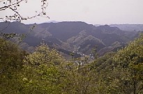 �����R����̊��m�q�R