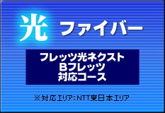 光ファイバー -フレッツ光ネクスト・Bフレッツ対応コース-