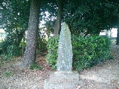 �咷���̔m�ԋ��