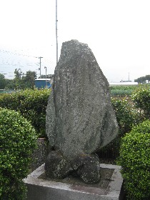 �n�����̔m�ԋ��