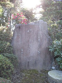 �������̍��l���q�̋��