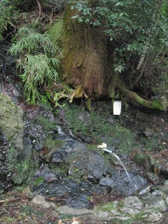 石小土の清水(ときがわ町)