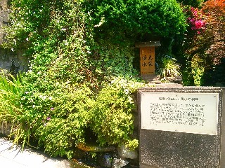 小島家湧水(和光市)
