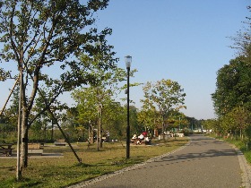 �H�t�̐X��������