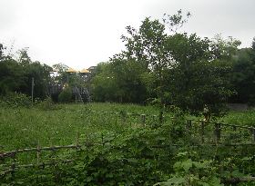 �ʂ̍���������̗�