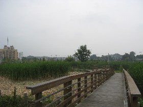 �������܎s�����L�O��������