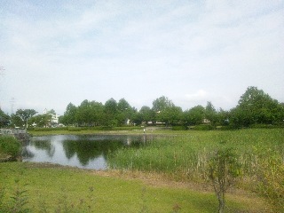 �����̐X����