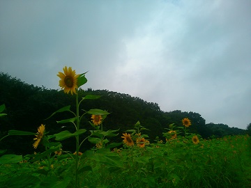 �����R�s�_�ь���