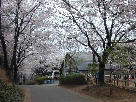 ���ǂ��������R����