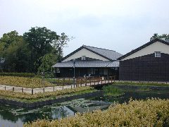 ��g�c����j����