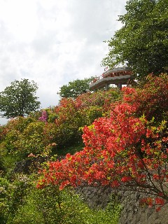 ����������R����