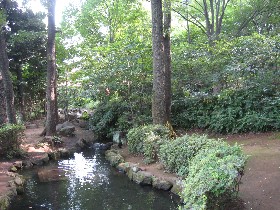 ��̍�����