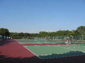 �ԏ��Ɖ^������