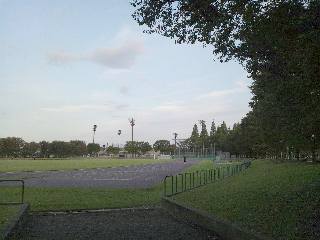 �K��s,�K�葍������