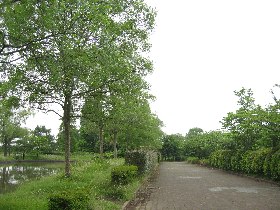 ���炱�΂Ɛ�������E�^������